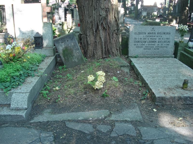 Zdjęcie grobu: Piotr Kubecki