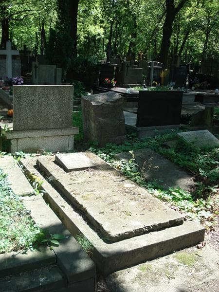 Zdjęcie grobu Antoni Przedborski (2)