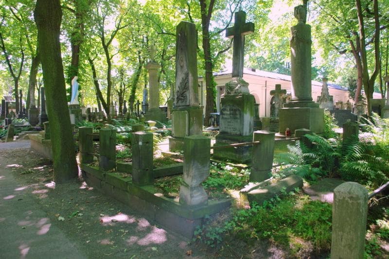 Zdjęcie grobu: Józefa Stolzmann