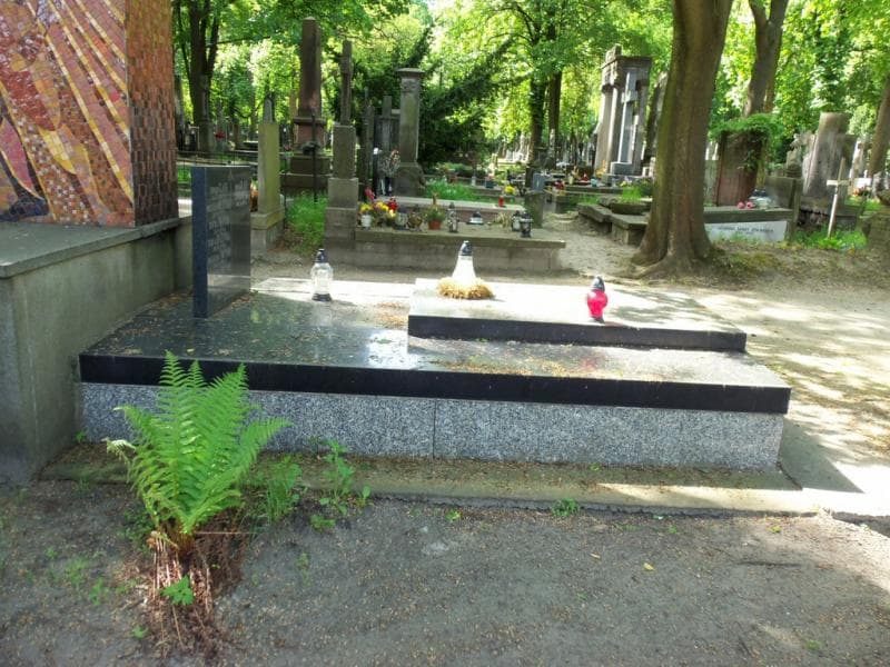 Zdjęcie grobu Stanisław Tołpyho (1)