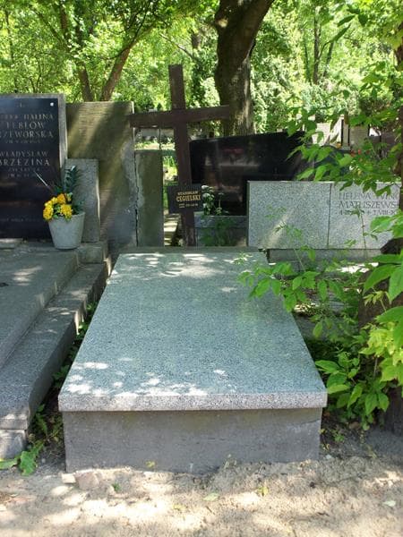 Zdjęcie grobu: Stanisław Cegielski