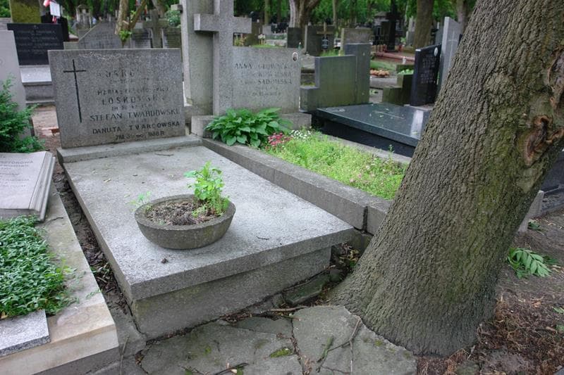 Zdjęcie grobu Danuta Twardowska (1)