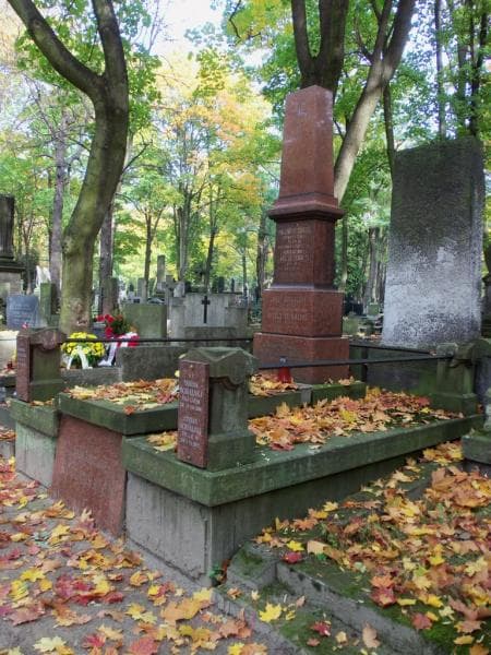 Zdjęcie grobu Maria Izabella Piotrowicz (1)
