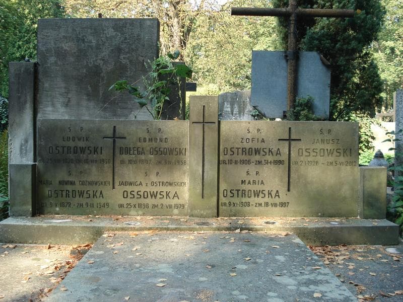 Zdjęcie grobu Edmund Dołęga-Ossowski (2)