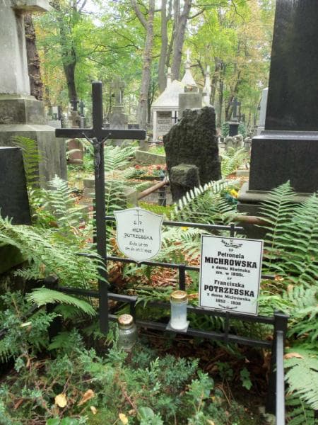 Zdjęcie grobu Petronela Michrowska (2)