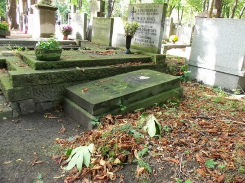 Zdjęcie grobu Sękowscy (1)
