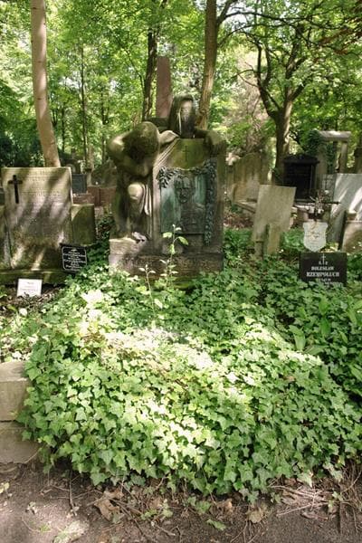 Zdjęcie grobu Wacław Drojowski (1)