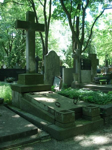 Zdjęcie grobu Zygmunt Wasilkowski (1)