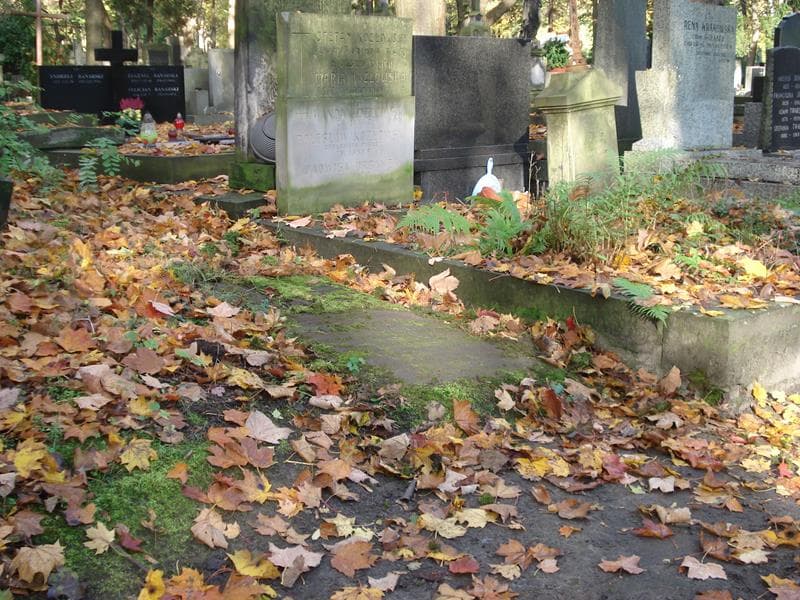 Zdjęcie grobu Henryk Lempke (1)