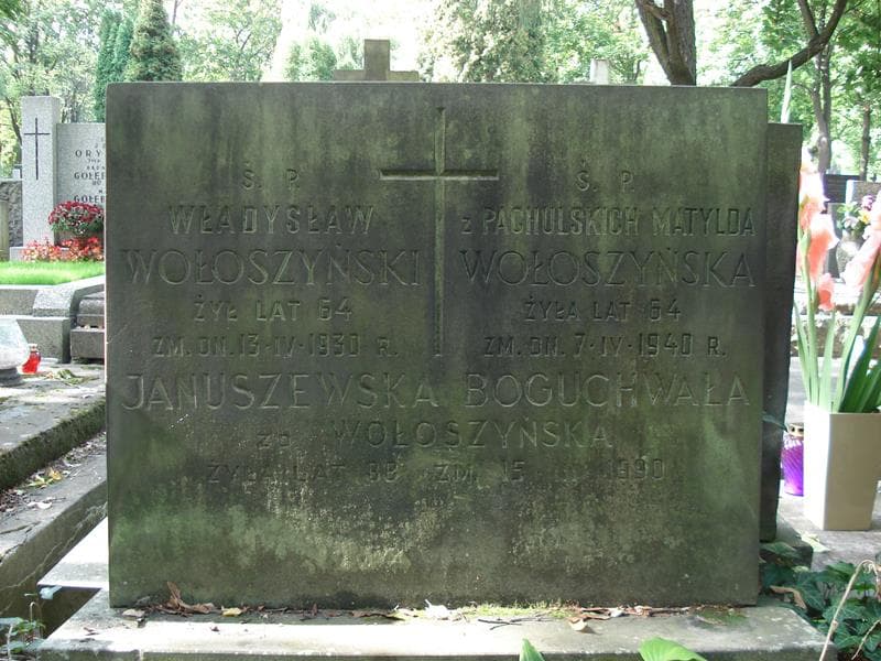 Zdjęcie grobu Boguchwała Januszewska (2)