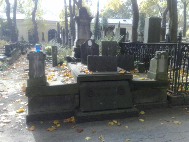 Zdjęcie grobu: Ludwik Gout