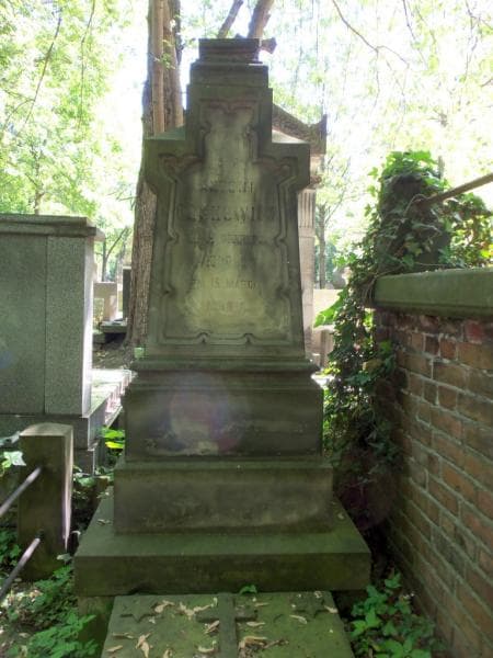 Zdjęcie grobu Antoni Lechowicz (2)