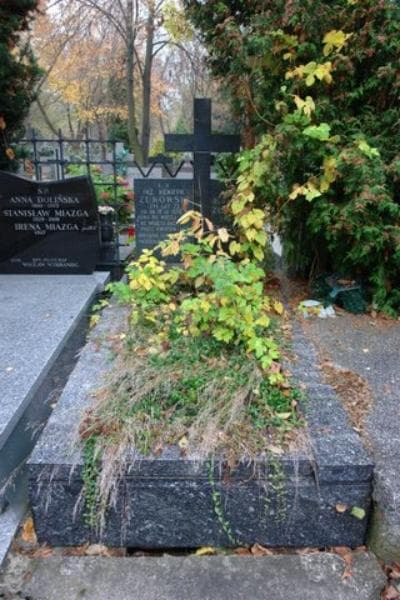 Zdjęcie grobu: Henryk Żukowski