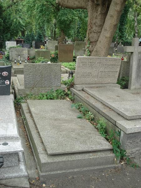 Zdjęcie grobu Władysław Cichoński (1)