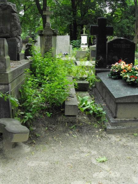 Zdjęcie grobu: Karol Olkowski