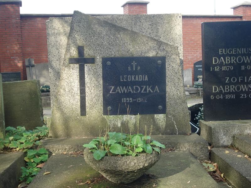Zdjęcie grobu Leokadia Zawadzka (2)