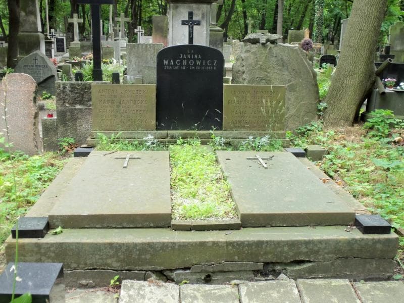 Zdjęcie grobu Feliks Jaworski (1)