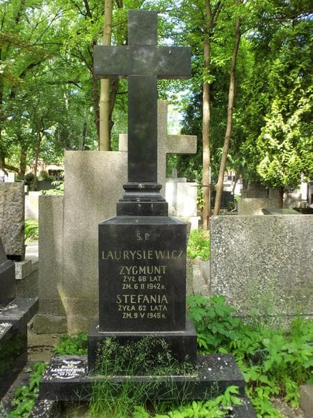 Zdjęcie grobu Stefania Laurysiewicz (2)