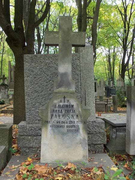 Zdjęcie grobu Anna Zofja Załuska (2)