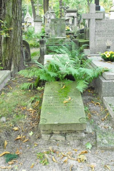 Zdjęcie grobu: Józef Czechomski