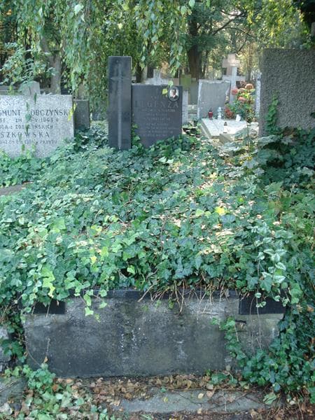 Zdjęcie grobu Henryk Legenza (1)