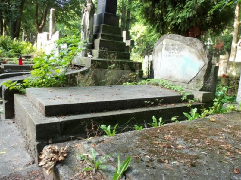 Zdjęcie grobu Kazimierz Józef Tarnowski (1)
