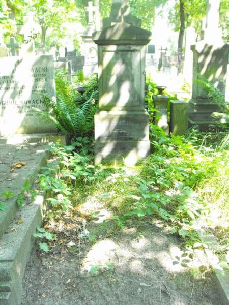 Zdjęcie grobu: Franciszek Jarzyna