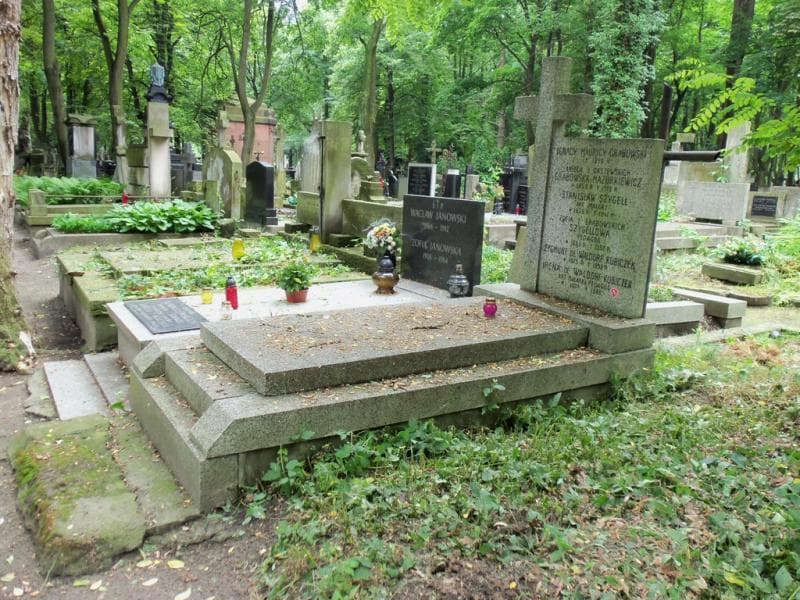 Zdjęcie grobu Zygmunt De Waldorf Kubiczek (1)
