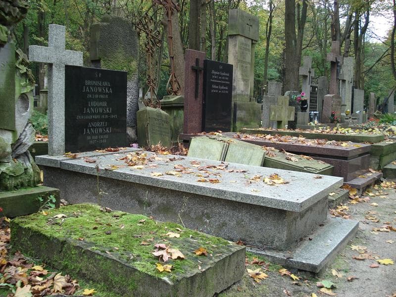 Zdjęcie grobu Andrzej Janowski (1)