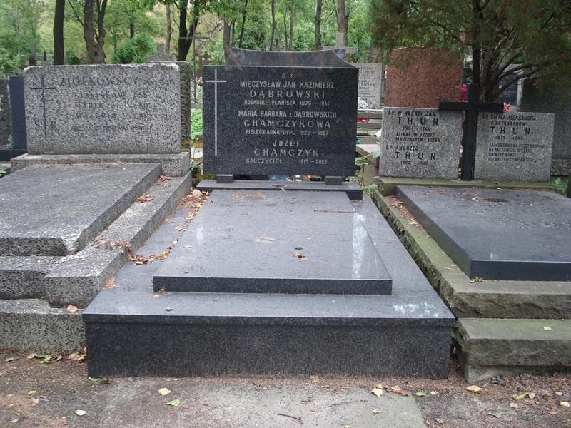Zdjęcie grobu: Józef Chamczyk