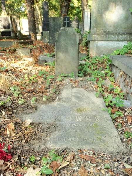 Zdjęcie grobu Józef Ciechowski (2)