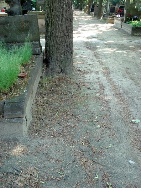 Zdjęcie grobu: Pole Grobowe