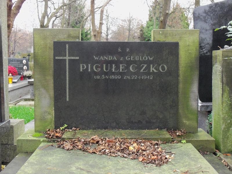 Zdjęcie grobu Wanda Pigułeczko (2)
