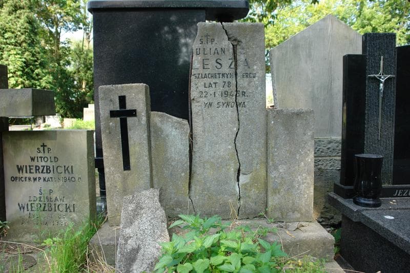 Zdjęcie grobu Julian Kulesza (2)