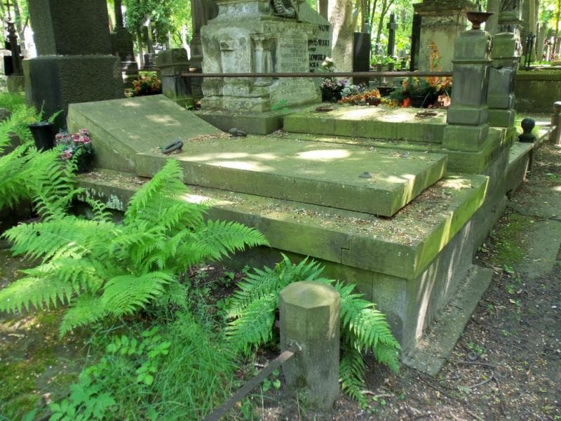Zdjęcie grobu Wincenty Pestrakiewicz (1)