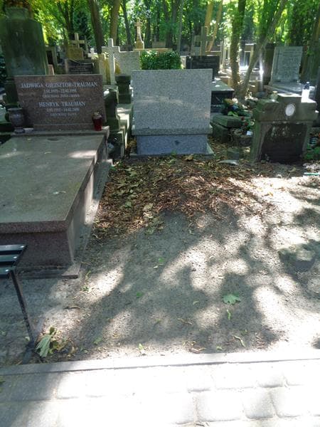 Zdjęcie grobu Pole Grobowe (1)