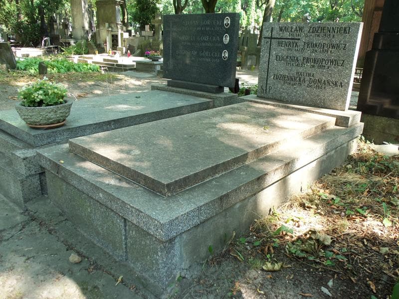 Zdjęcie grobu: Eugeniusz Domański
