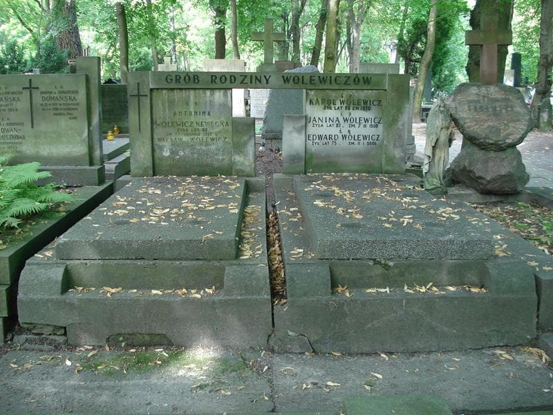 Zdjęcie grobu: Janina Wolewicz