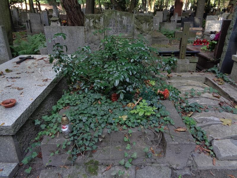 Zdjęcie grobu Wanda Maria Zadrożna (1)