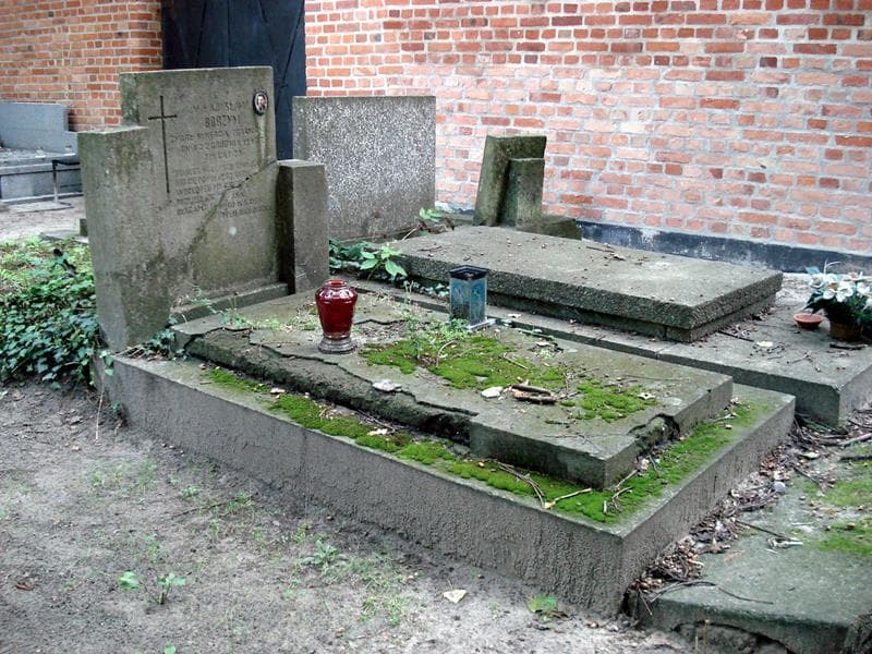 Zdjęcie grobu: Władysław Borzym