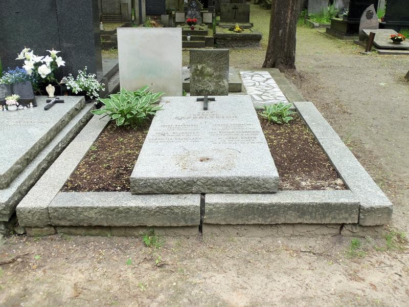 Zdjęcie grobu: Anna Goren