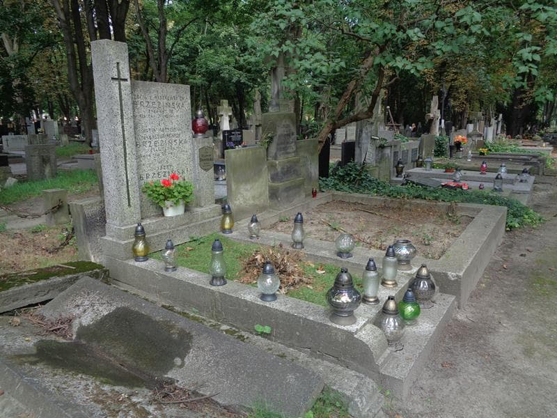 Zdjęcie grobu: Zygmunt Dewiński