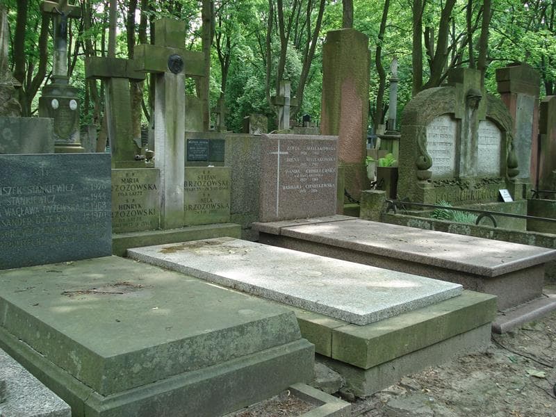 Zdjęcie grobu Nela Brzozowska (1)