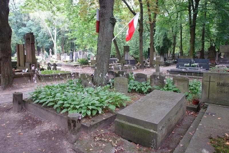 Zdjęcie grobu ... ... (2)