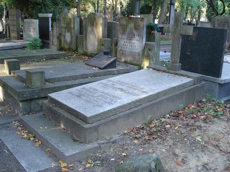 Zdjęcie grobu: Franciszek Jastrzębiec-Rudnicki