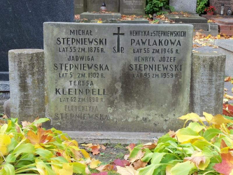 Zdjęcie grobu Henryk Józef Stępniewski (2)