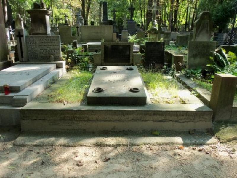 Zdjęcie grobu: Hanna Cieszańska