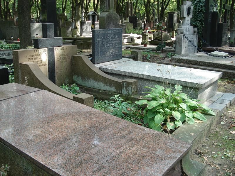 Zdjęcie grobu: Zofja Amelja Wasilkowska
