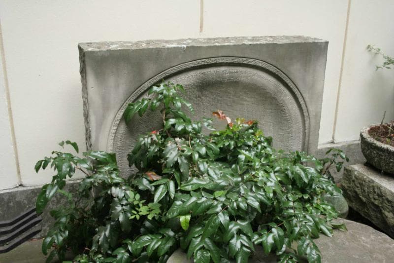 Zdjęcie grobu Tadeusz Manteuffel (3)