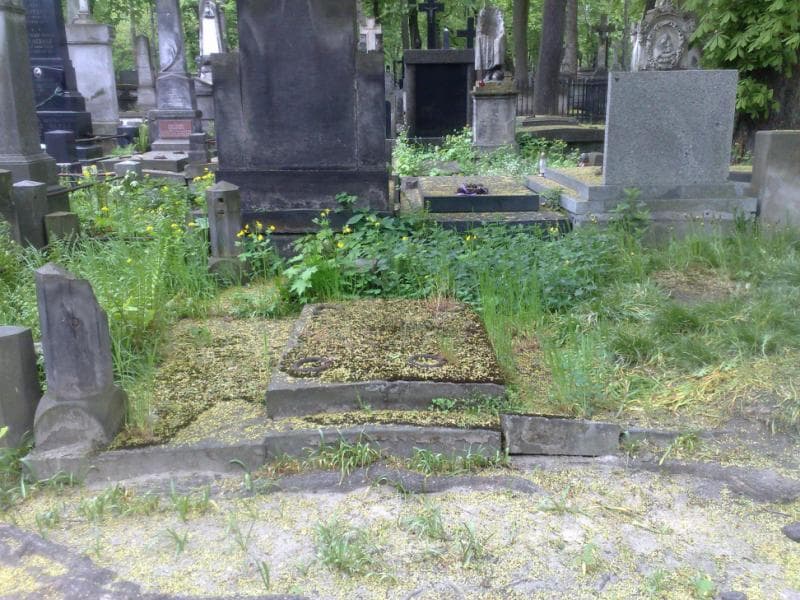 Zdjęcie grobu Fryderyk Brzeziński (1)